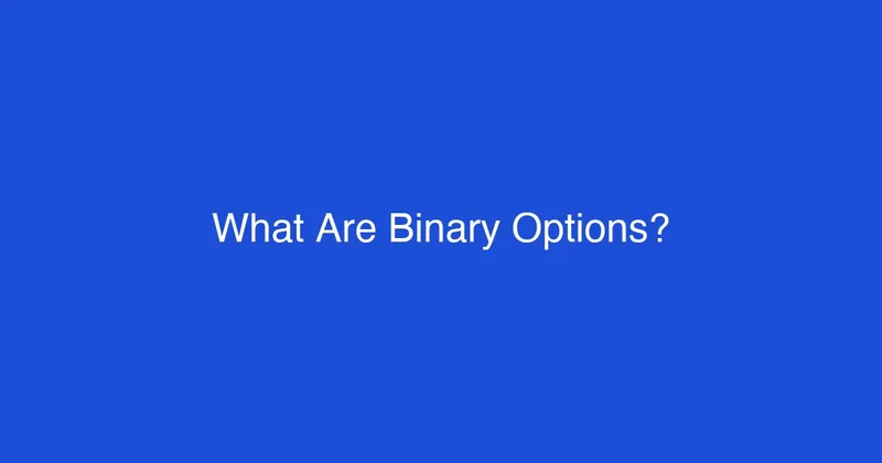 What Are Binary Options? A Beginner's Overview